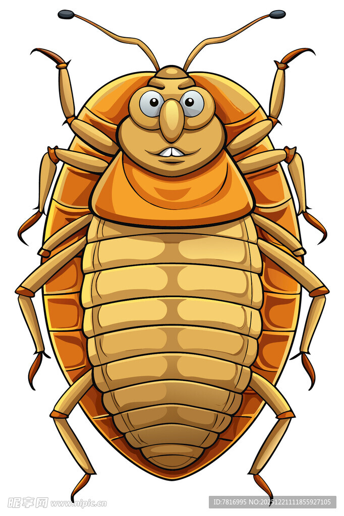 卡通形象的可爱甲虫