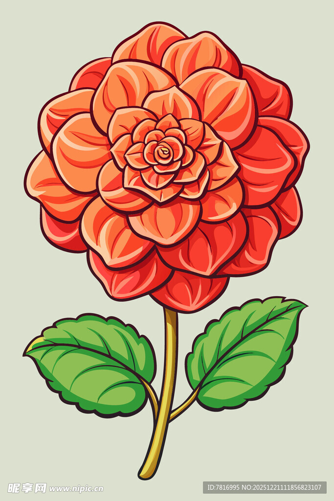 鲜艳橘色大丽花插画