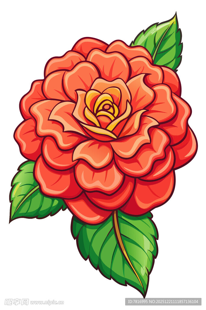 鲜艳红玫瑰插画