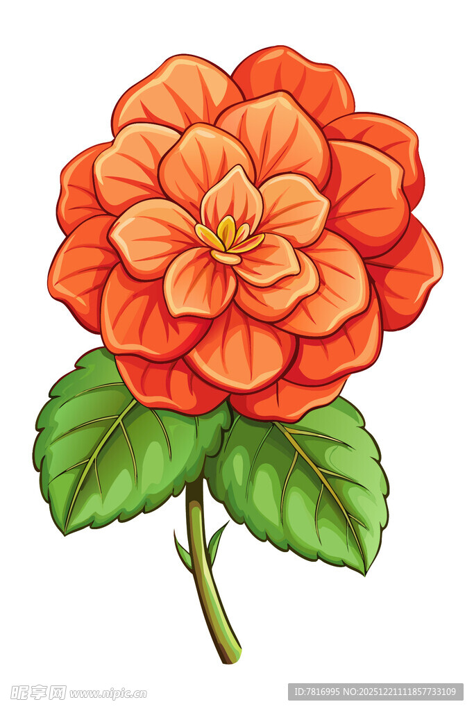 橙色花卉插画绿叶相伴