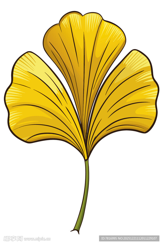 金色银杏叶插画