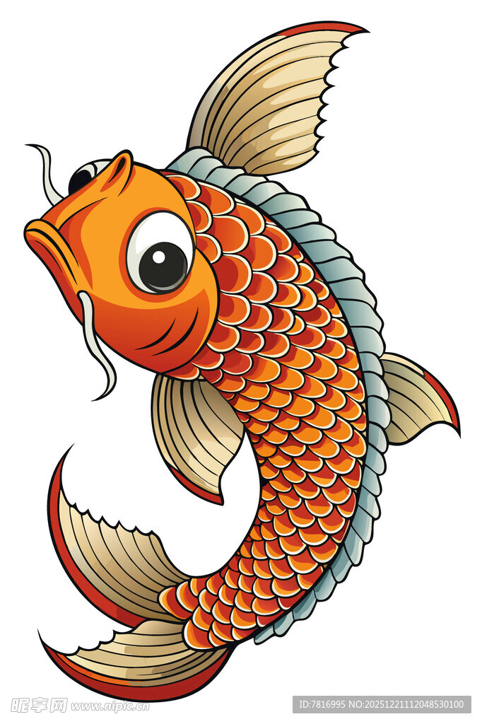彩色锦鲤插画