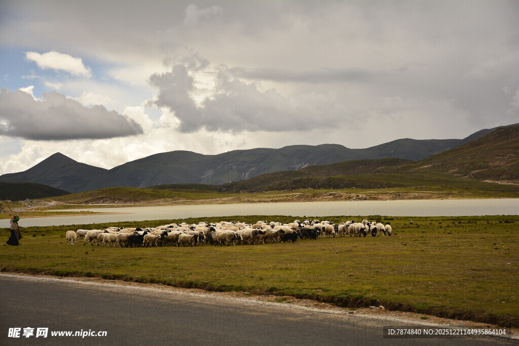 草原羊群与远山美景
