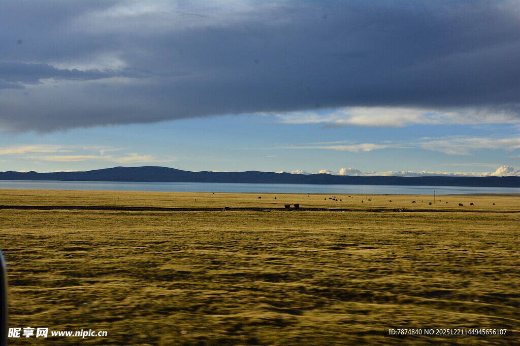广袤草原与天际的壮美景观