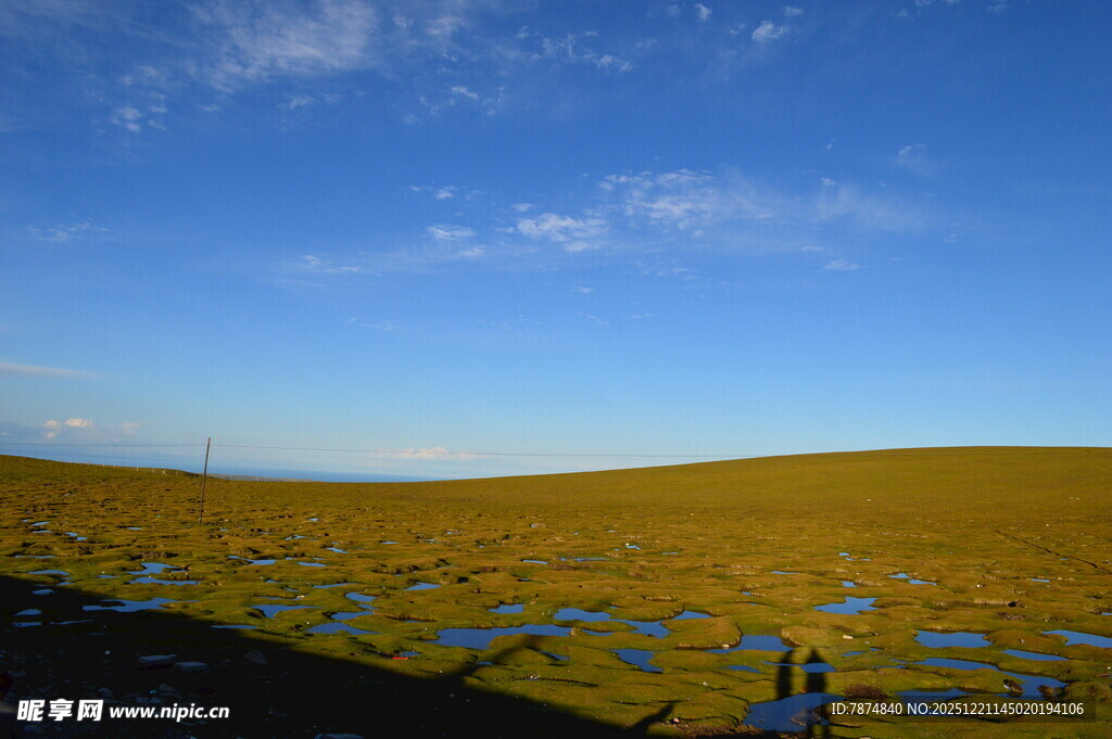 草原上的光伏电站景观