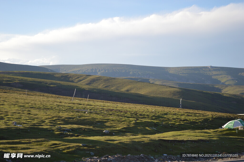 草原风光中的白色帐篷