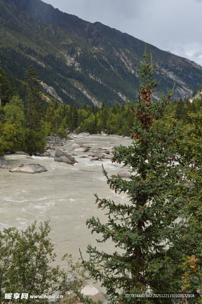 山间湍急河流与葱郁树木