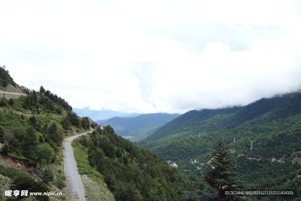 山间蜿蜒公路 绿意盎然