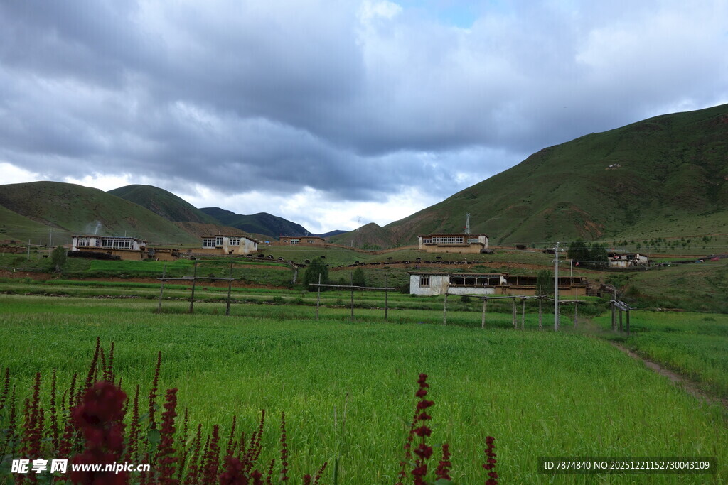 田园风光中的乡村美景