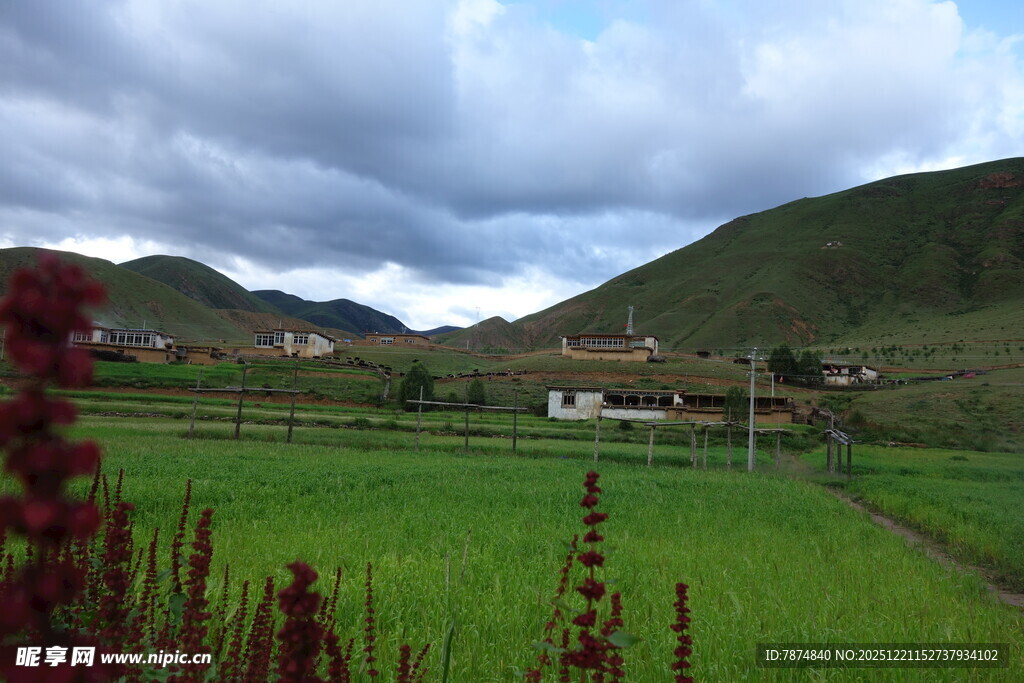 田园风光中的宁静村落