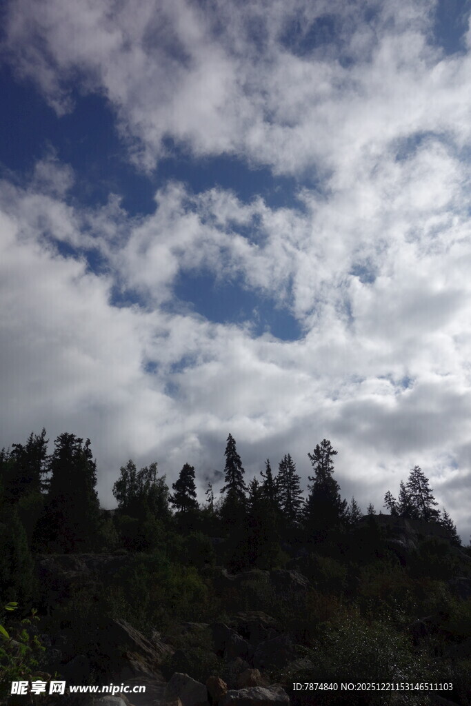 蓝天白云下的山林美景