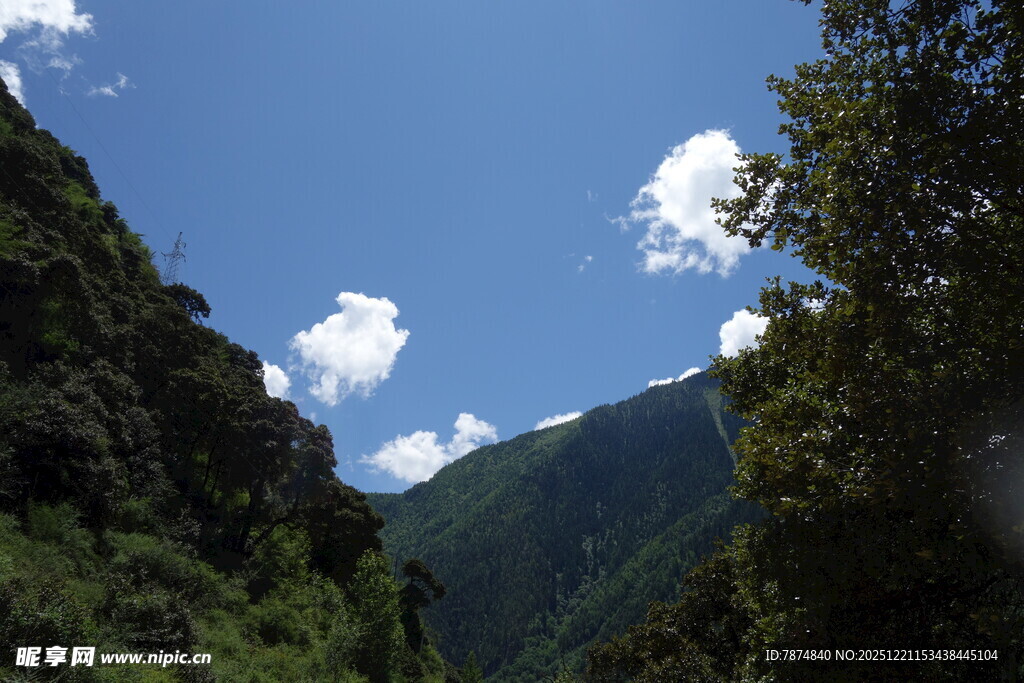 山间蓝天绿树美景