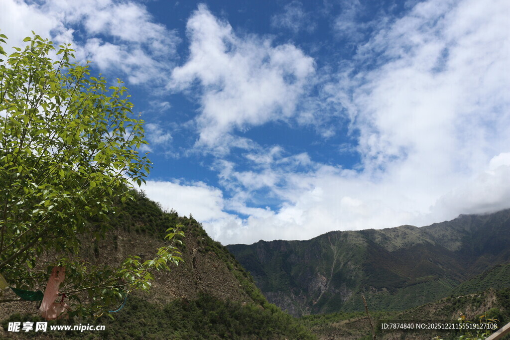 山间蓝天绿树美景
