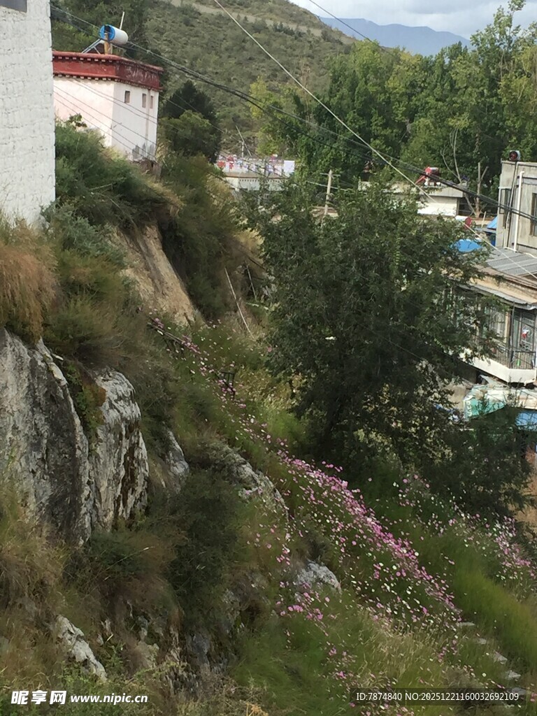 山坡旁的建筑与绿植景观