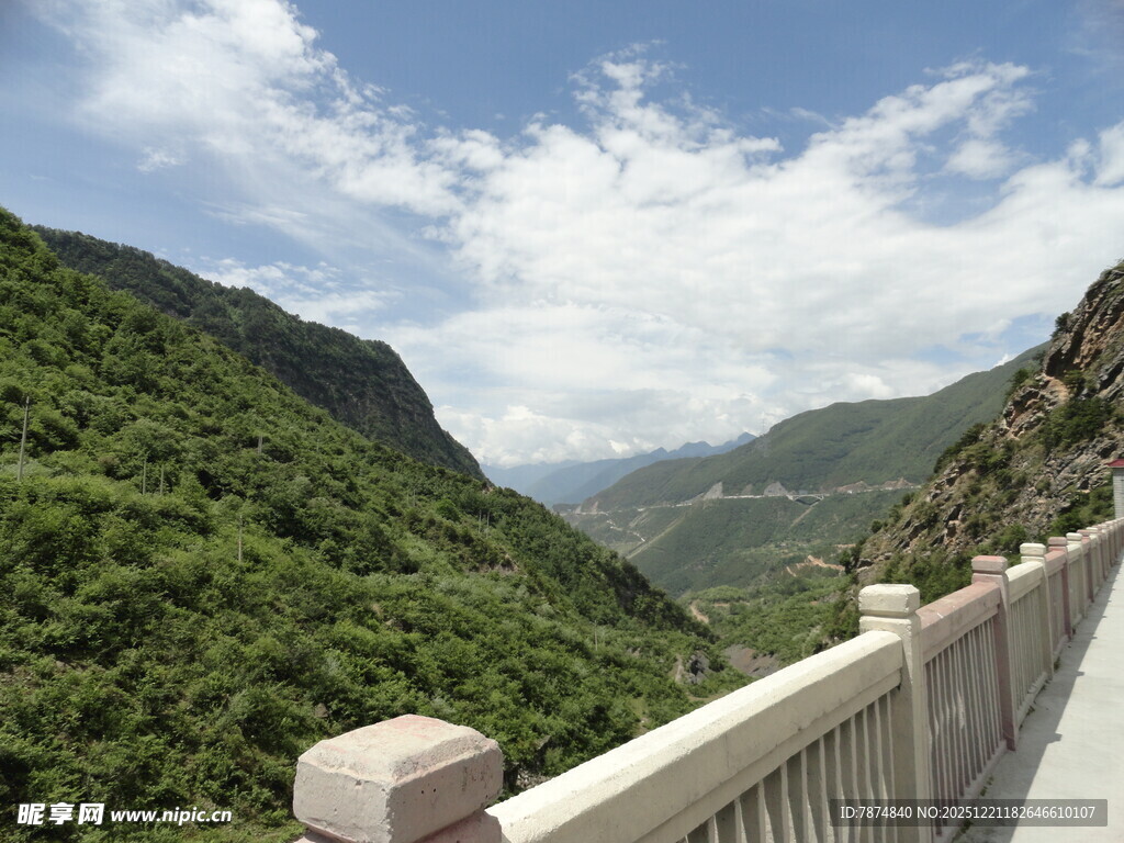 山间公路旁的葱郁美景