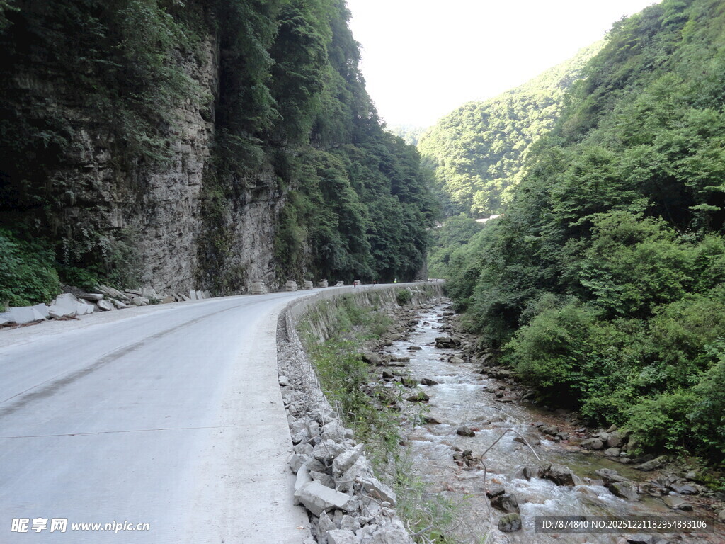 山间蜿蜒公路与葱郁植被