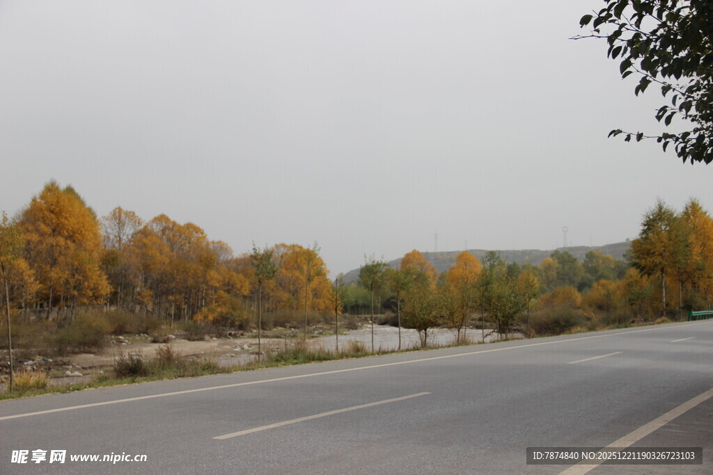 秋日公路边斑斓树林景色