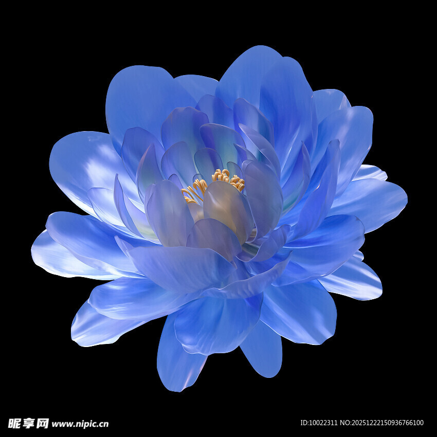 蓝色娇艳花朵特写