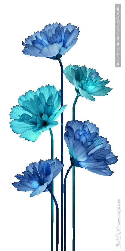 蓝色花朵插画 清新雅致