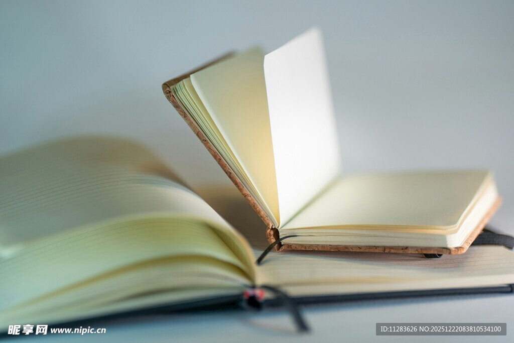 翻开的书籍展现知识世界