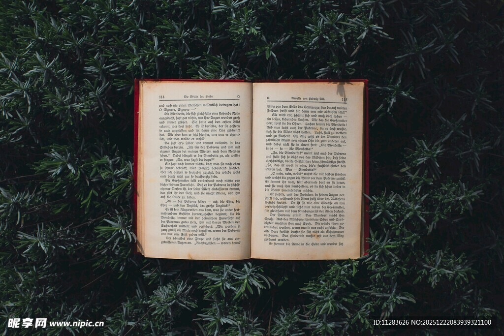 翻开的旧书置于绿色背景