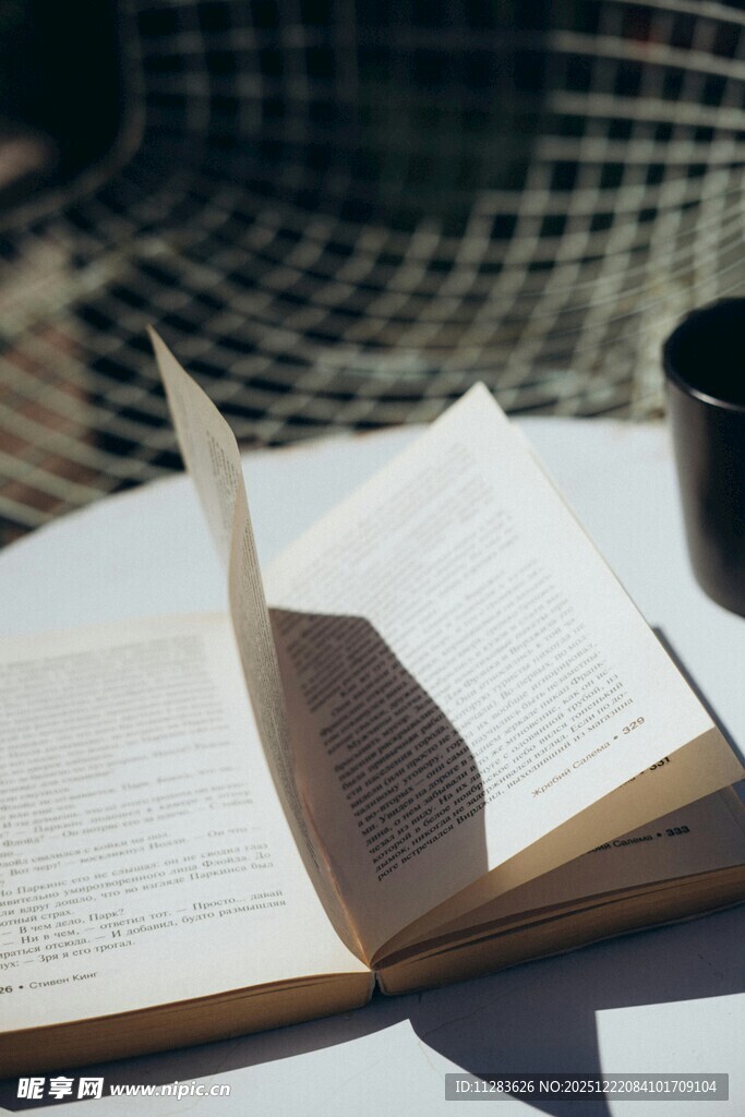 阳光下翻开的书页