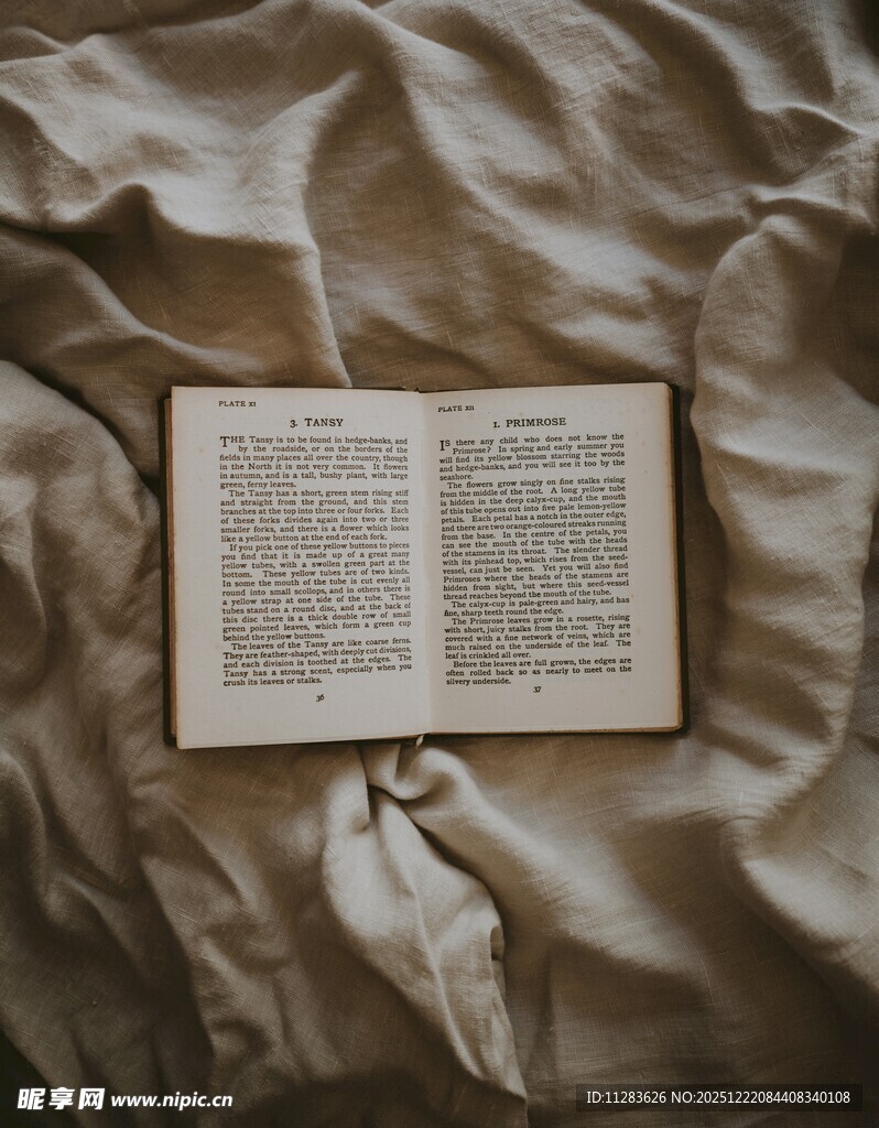 床上翻开的书页