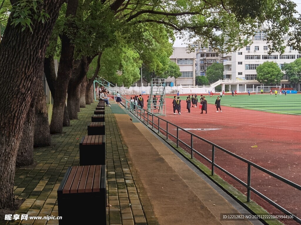 校园林荫跑道风景