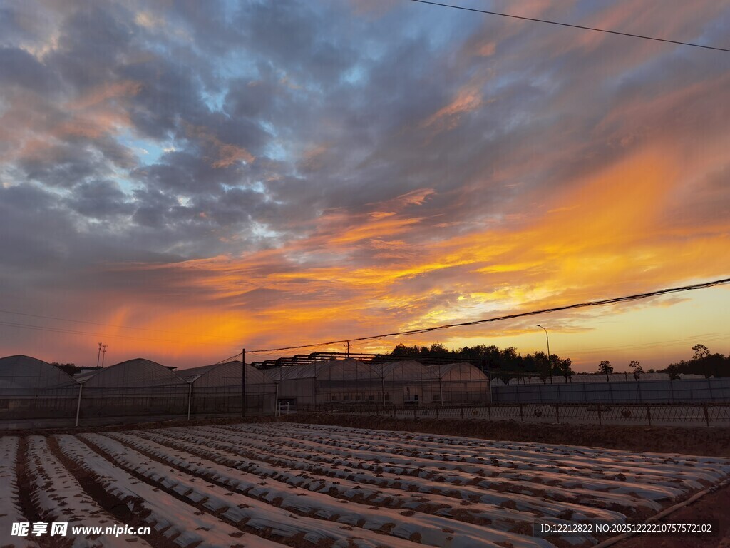 田野上的绚烂日落美景