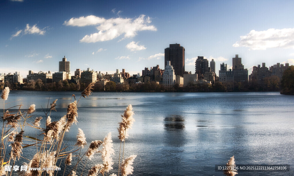 湖畔城市风光 