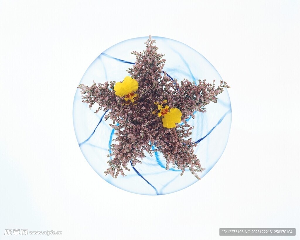 玻璃容器中的海星小景