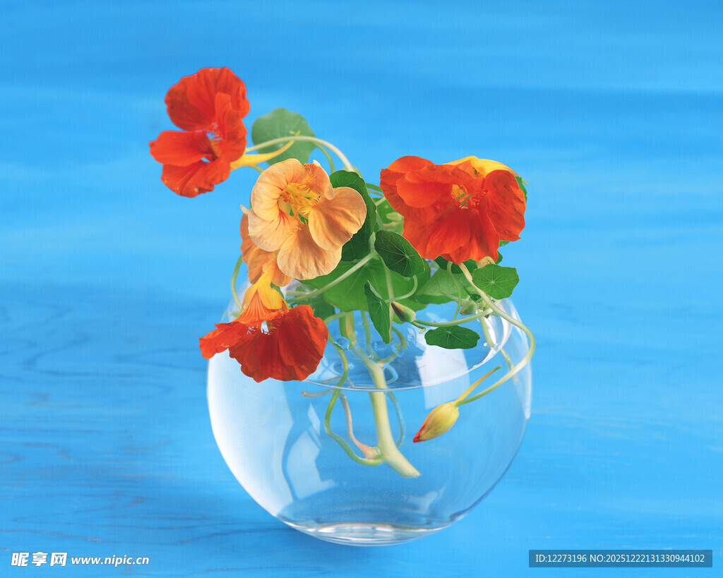 玻璃花瓶中的鲜艳花朵