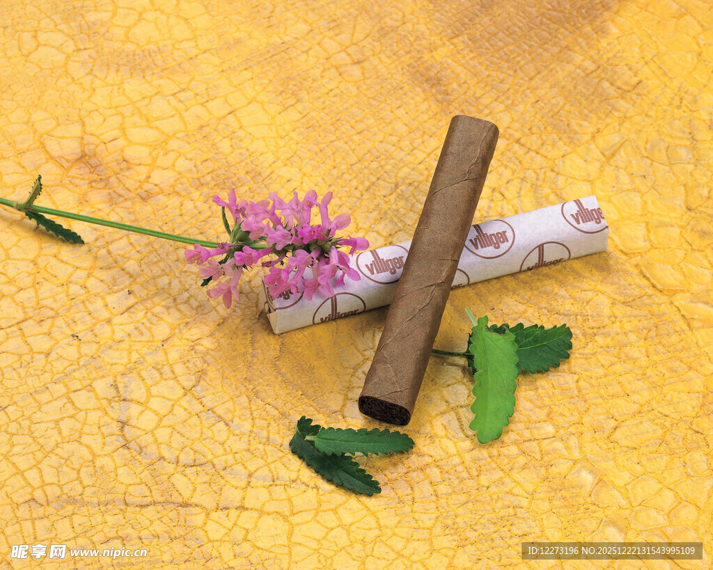 香薰棒与花草静物组合