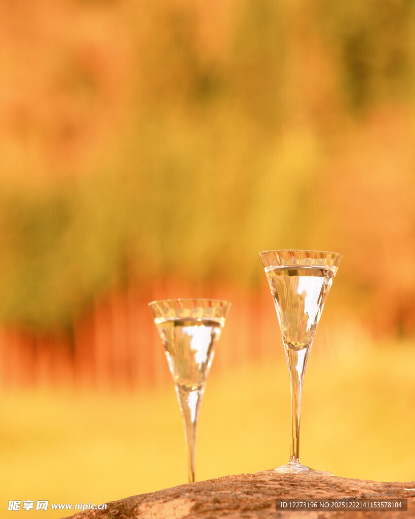 户外木上的精致高脚酒杯