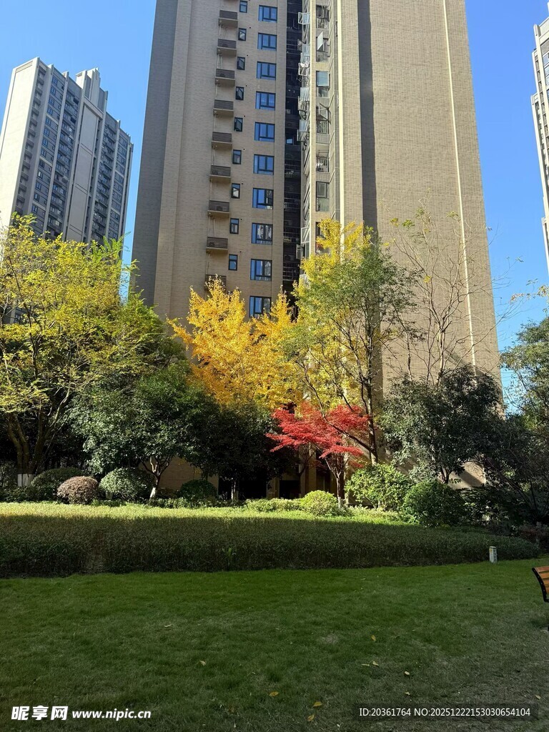 秋日城市中的绿地与高楼