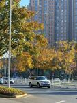 秋日城市街道风景