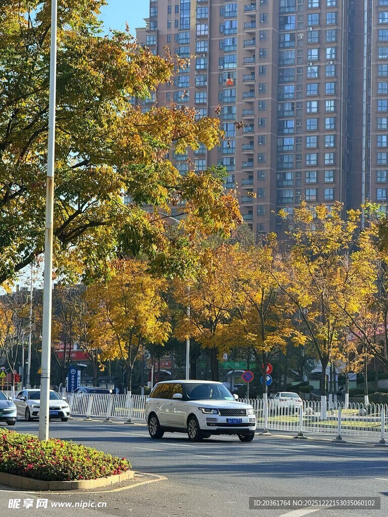 秋日城市街道风景