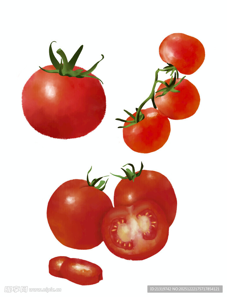 西红柿插画素材