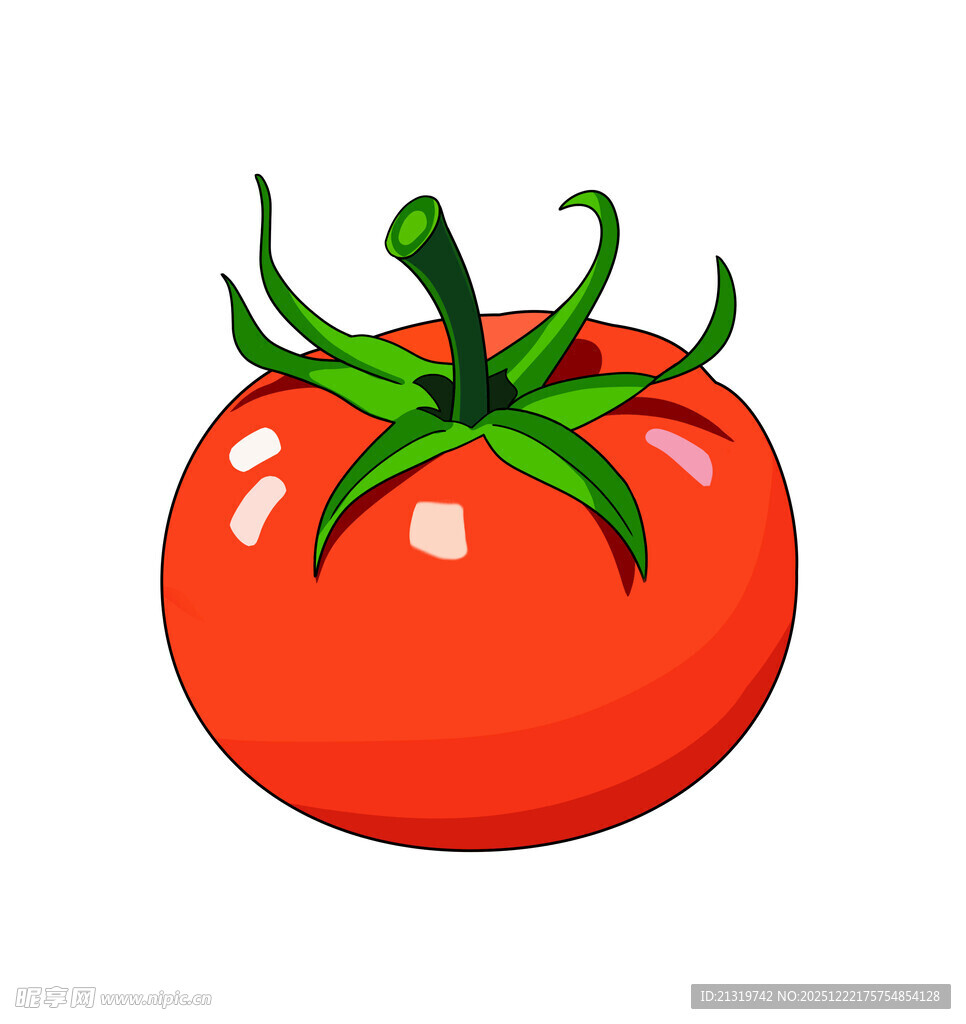 西红柿素材