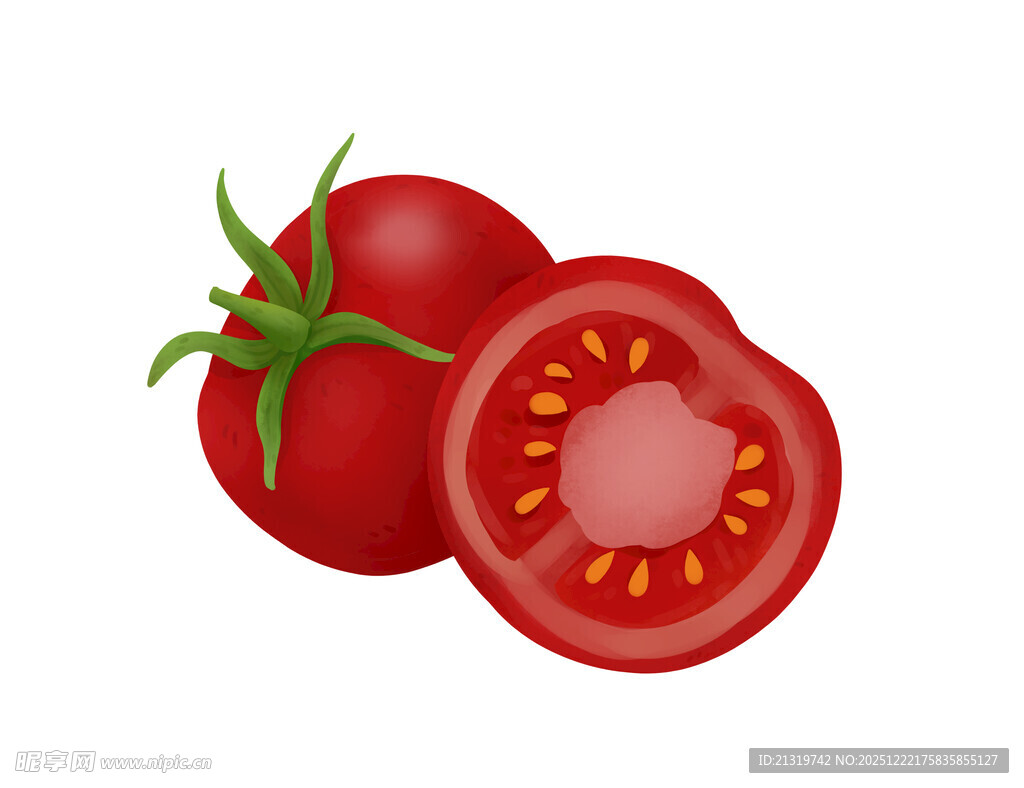 西红柿素材