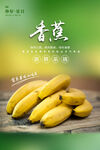 香蕉