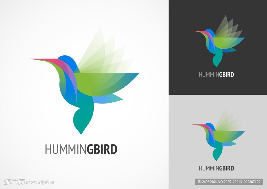 蜂鸟标志设计