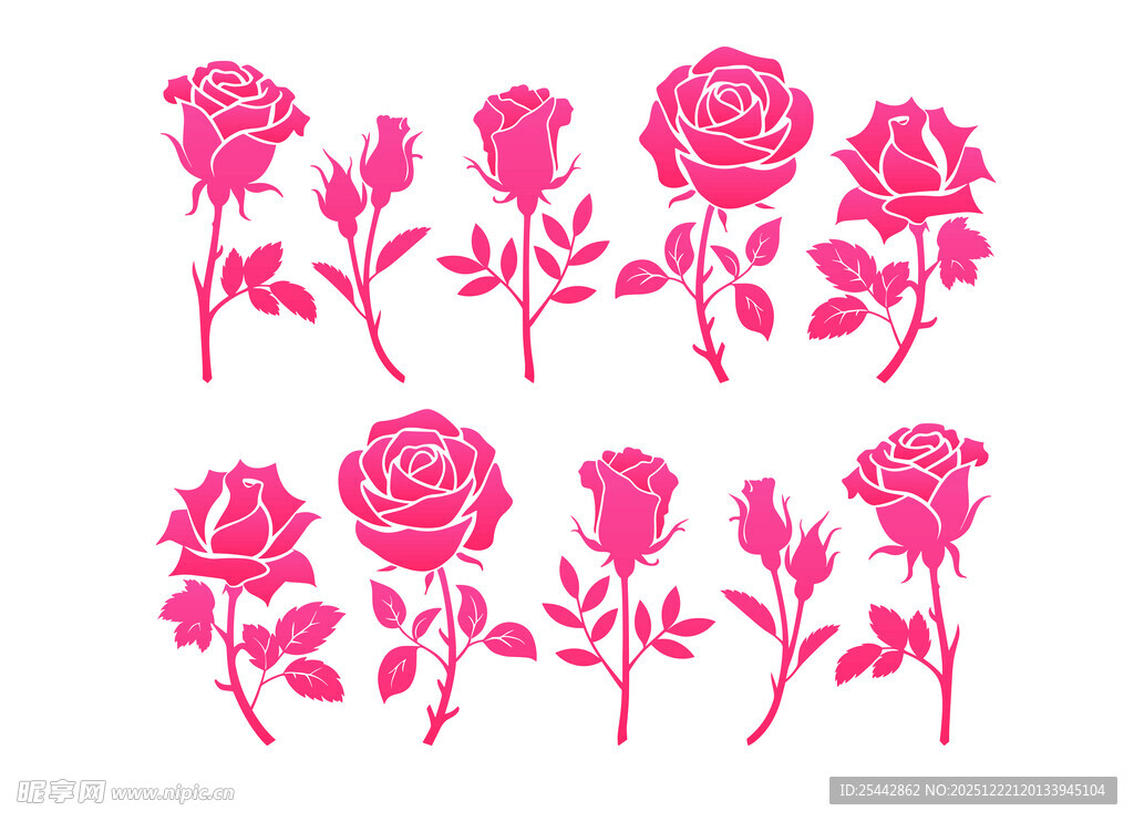 粉色玫瑰图案