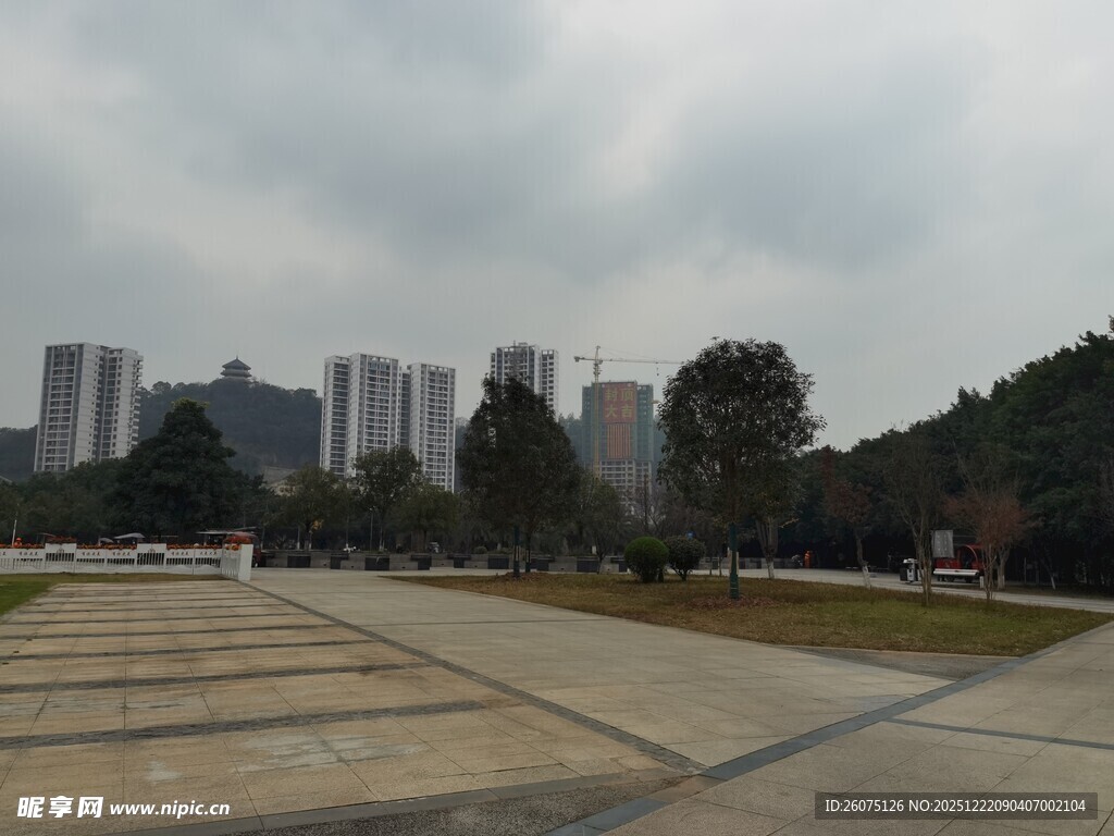 城市公园中的开阔景观