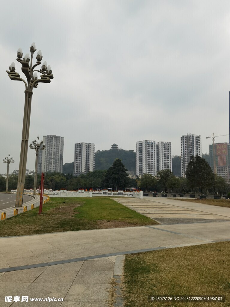 城市公园与远处高楼景观