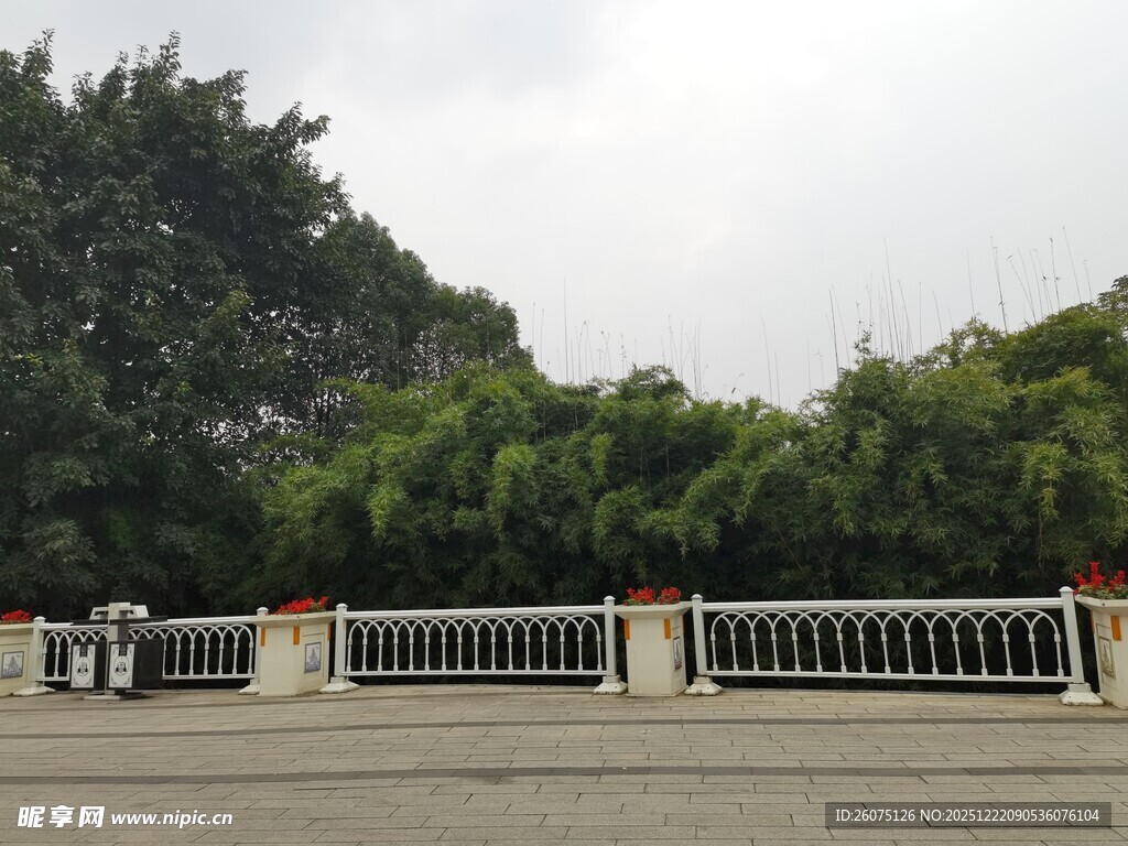 户外白色栏杆与绿树景观