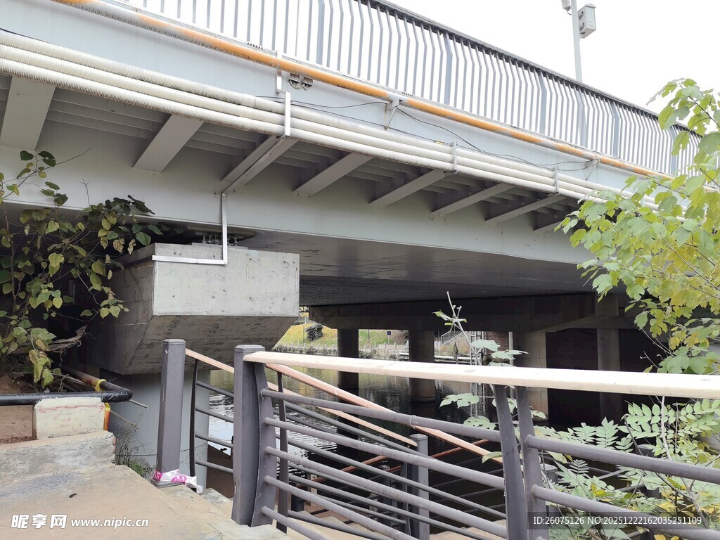 现代桥梁下的绿植景观