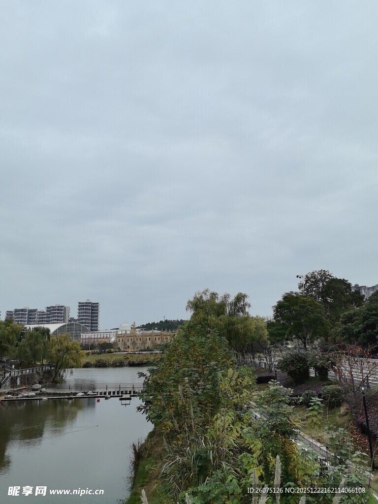 河畔风景桥与城市建筑