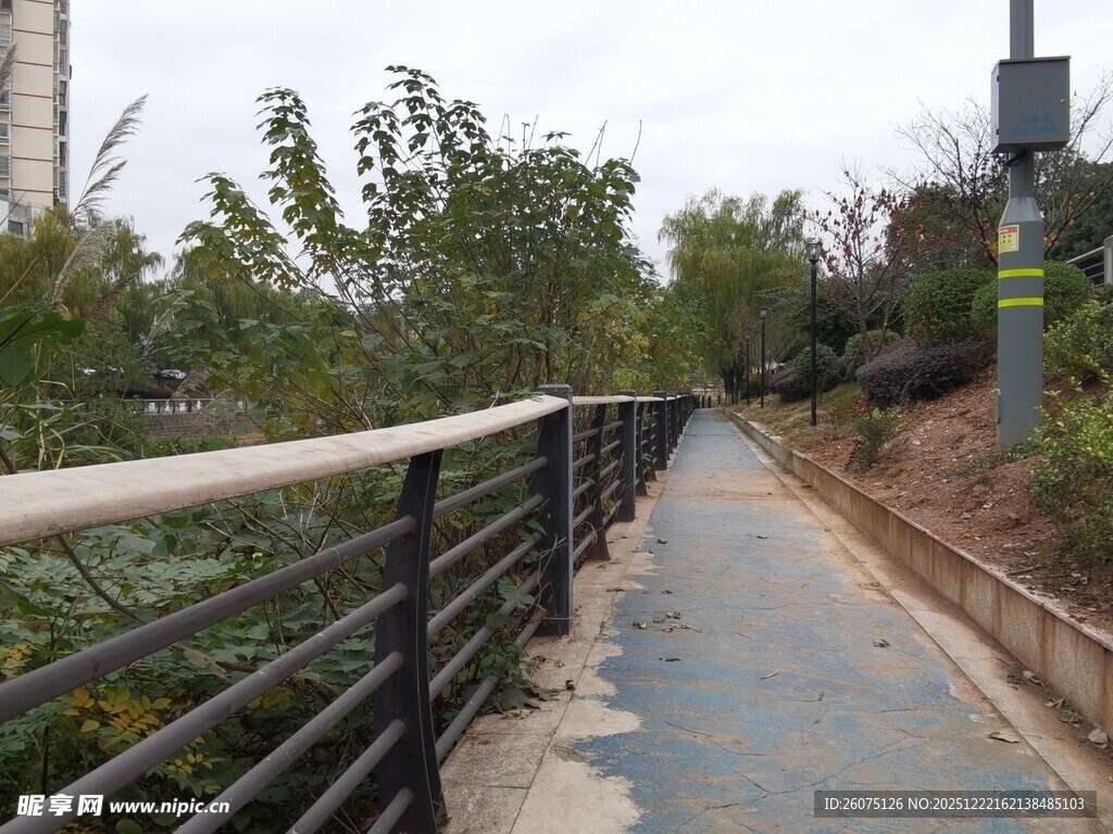 户外幽静的林间步道