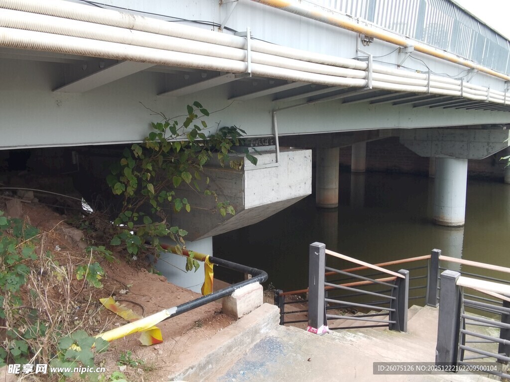 桥下景观绿植与设施相伴